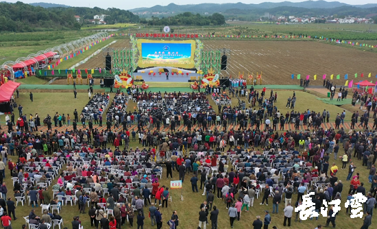 9月21日,咸寧市咸安區(qū)高橋蘿卜小鎮(zhèn)百畝草地上舉行了“慶豐收·迎小康”第三屆中國(guó)農(nóng)民豐收節(jié)湖北分會(huì)場(chǎng)咸寧主會(huì)場(chǎng)慶?;顒?dòng),全市各界農(nóng)民代表相聚白水畈的美麗田野,分享豐收的喜悅,慶祝屬于自己的節(jié)日。 開幕式上舉行了精彩的文藝演出,演出在舞蹈《慶豐收》中拉開序幕,歌舞《錦繡小康》呈現(xiàn)出咸寧各地欣欣向榮、脫貧致富奔小康的幸福場(chǎng)景。網(wǎng)紅歌曲《你莫走》、舞蹈《慶豐收》、歌舞《一起幸?!?,一個(gè)個(gè)精彩的節(jié)目輪番上演,博得現(xiàn)場(chǎng)觀眾陣陣掌聲。 開幕活動(dòng)現(xiàn)場(chǎng)還舉行了頒獎(jiǎng)儀式,第二屆“美麗中國(guó)、鄉(xiāng)村振興”全國(guó)農(nóng)民詩歌邀請(qǐng)賽獲獎(jiǎng)組織和個(gè)人,全市農(nóng)村人居環(huán)境整治示范村,省級(jí)農(nóng)業(yè)產(chǎn)業(yè)化工作先進(jìn)集體和先進(jìn)個(gè)人上臺(tái)領(lǐng)獎(jiǎng)。現(xiàn)場(chǎng)還舉行了鄂南民俗展演、農(nóng)民趣味運(yùn)動(dòng)會(huì)、扶貧農(nóng)產(chǎn)品以及咸寧特色農(nóng)產(chǎn)品展銷等豐富多彩的活動(dòng)?;鸨娜藲?,讓在場(chǎng)的展銷商賺得是盆滿缽滿。 咸寧市咸安區(qū)鑫達(dá)種養(yǎng)專業(yè)合作社理事長(zhǎng)萬永輝:今年家里的香菇都豐收了,一上午我就賣出了一萬多元,我們合作社采取的是“合作社+農(nóng)戶”的模式,也帶領(lǐng)了20多戶貧困戶脫貧了。 咸寧市致遠(yuǎn)種植專業(yè)合作社理事長(zhǎng) 吳海兵:我們今年是真真正正地豐收了,我們生姜的價(jià)格足足翻了三倍,跟著我們一起的貧困戶也平均增收了3000元左右。 而這一系列的活動(dòng),都是在蘿卜小鎮(zhèn)的草地上進(jìn)行的,草地作舞臺(tái)、草地搞展示、草地上比賽等等,這數(shù)百畝草地,此時(shí)此刻成為了咸寧農(nóng)民們慶祝豐收的歡樂場(chǎng)。 咸寧市咸安區(qū)高橋鎮(zhèn)黨委書記王順榮:今年的湖北分會(huì)場(chǎng)在我們高橋蘿卜小鎮(zhèn)舉辦,我感到很榮幸,我們從一顆蘿卜做起,以白水畈蘿卜為核心品牌,打造白水畈"我家菜園"蔬菜基地及旅游觀光體驗(yàn)中心,發(fā)展綠色農(nóng)業(yè)、生態(tài)旅游,增加產(chǎn)業(yè)開發(fā)的綜合效益,創(chuàng)建蘿卜特色小鎮(zhèn),走出了一條農(nóng)業(yè)、旅游相結(jié)合的新路,推動(dòng)高橋鎮(zhèn)一二三產(chǎn)業(yè)融合發(fā)展。 鄉(xiāng)親們說,這在以前是想都不敢想的,高橋鎮(zhèn)蝸居山里,太偏遠(yuǎn)又沒有資源優(yōu)勢(shì),想發(fā)展太難。而現(xiàn)在這一切的悄然改變,得益于2017年10月13日,咸安區(qū)政府與鄂旅投公司正式簽署的《131軍旅小鎮(zhèn)+白水畈田園綜合體旅游開發(fā)投資合作協(xié)議》,鄂旅投公司將投資30億元,在高橋鎮(zhèn)打造131軍旅小鎮(zhèn)和白水畈田園綜合體旅游開發(fā)項(xiàng)目。項(xiàng)目共分為131軍旅小鎮(zhèn)、白水畈美麗鄉(xiāng)村、特色農(nóng)業(yè)示范、旅游綜合體四大板塊,打造旅游綜合服務(wù)區(qū)、澄水洞軍事展示區(qū)、青少年國(guó)防教育基地、鐵血軍事樂園區(qū)、戰(zhàn)狼訓(xùn)練基地、美麗村灣民俗區(qū)、四季瓜果示范區(qū)、農(nóng)耕文化展示區(qū)、特色商業(yè)街區(qū)和康養(yǎng)度假區(qū)十大功能區(qū)。 咸寧市咸安區(qū)高橋鎮(zhèn)黨委書記王順榮:我們引進(jìn)鄂旅投,打造蘿卜小鎮(zhèn),目前建設(shè)有蘿卜小鎮(zhèn)科普館、蘿卜鄉(xiāng)學(xué)院、蘿卜酒店等休閑旅游項(xiàng)目,十一馬上到了,也歡迎廣大游客前來游玩。 今年是決勝全面建成小康社會(huì)、決戰(zhàn)脫貧攻堅(jiān)之年。咸寧市本著"儉樸、祥和、歡樂,農(nóng)民參與,農(nóng)民唱主角"的辦節(jié)思路,而此屆中國(guó)農(nóng)民豐收節(jié)辦節(jié)費(fèi)用也是倍減。 農(nóng)為邦本,本固邦寧。今年,面對(duì)重大疫情和特大洪澇災(zāi)害,咸寧市扎實(shí)做好“六穩(wěn)”工作、落實(shí)“六?!比蝿?wù),克服重重困難,推動(dòng)農(nóng)業(yè)實(shí)現(xiàn)持續(xù)平穩(wěn)發(fā)展,形成了茶葉、油茶、中藥材等12個(gè)特色農(nóng)業(yè)主導(dǎo)產(chǎn)業(yè),“全國(guó)一村一品示范村鎮(zhèn)”發(fā)展到14家,國(guó)家級(jí)、省級(jí)農(nóng)業(yè)產(chǎn)業(yè)化龍頭企業(yè)達(dá)到55家。尤其是糧食產(chǎn)量預(yù)計(jì)達(dá)118萬噸、蔬菜產(chǎn)量預(yù)計(jì)達(dá)260萬噸,生豬預(yù)計(jì)出欄183.52萬頭,農(nóng)業(yè)生產(chǎn)再獲豐收,糧食安全有效保障,讓農(nóng)民的腰包更鼓、家園更美、生活更甜,為加快實(shí)施鄉(xiāng)村振興戰(zhàn)略、推動(dòng)咸寧高質(zhì)量發(fā)展提供堅(jiān)實(shí)保障。